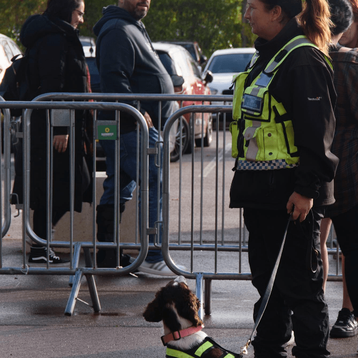 Professional Security Dog Services for Enhanced Event Protection | AIB Group | Security